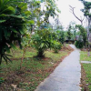 Отель Baan Jingjai Homestay, фото 18