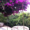 Отель House With 2 Bedrooms in Sciacca, With Wonderful sea View and Furnishe, фото 2