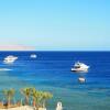 Отель Shark Bay Oasis, фото 33