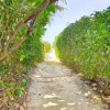 Отель Captiva Providence, фото 19