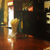 Отель The Gecho Inn Town, фото 8