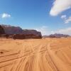 Отель Wadi Rum Info, фото 14