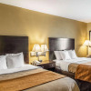 Отель Comfort Inn Airport Turfway Road, фото 37