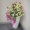 Отель Appartement Fritzenwallner, фото 23