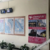 Отель Cherry Garden Hotel, фото 3
