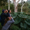 Отель Masaya Casas Viejas, фото 11