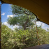 Отель Oase by 7 Star Lodges - Greater Kruger Private 530ha Reserve, фото 37