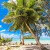 Отель Cook Islands Holiday Villas Muri, фото 20