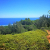 Отель Rarotonga GolfSeaview, фото 20