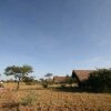 Отель Robanda Tented Camp, фото 4