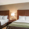 Отель Comfort Inn Edinburg, фото 17