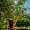 Отель Kairos Valley Health & Nature Resort, фото 25