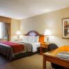 Отель Comfort Inn & Suites, фото 5