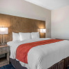 Отель Comfort Suites Fort Lauderdale Airport & Cruise Port, фото 7