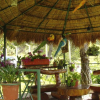 Отель Pousada Refugio Comodo, фото 10