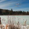 Отель Ruth Lake Lodge, фото 15