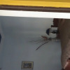 Отель Haveli Katkoun Guest House, фото 2
