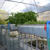 Отель Caliraya Ecoville Recreation and Farm Resort, фото 13