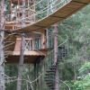 Отель Urnatur Eco Treehouse Lodge, фото 18