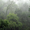 Отель Don Enrique Lodge, фото 22