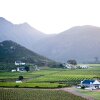 Отель Orange Grove, фото 43