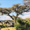 Отель Ngorongoro Lions Paw в Карату