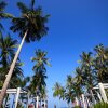 Отель Kupu Kupu Phangan Beach Villas & Spa by L'Occitane, фото 28