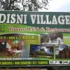 Отель Disni Village, фото 22