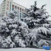 Отель Kunyu Hotel Wendeng, фото 15