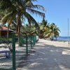 Отель Coco's Beachfront Cabanas, фото 12
