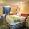 Отель Quality Inn, фото 18