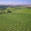 Отель Castello di Bossi, фото 19