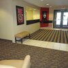 Отель Extended Stay America Suites St Petersburg Clearwater ExecDr, фото 4