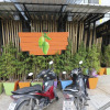 Отель The Nice Mangoes, фото 33