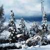 Отель Odem Country Lodging, фото 13