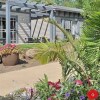 Отель Kibbutz Afik Country Lodging, фото 10
