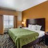 Отель Quality Suites Addison - Dallas, фото 5