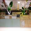 Отель Magical Duplex 100SM Garden Pool Parking, фото 9