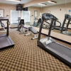 Отель Holiday Inn Express Hotel & Suites LANSING-LEAVENWORTH, фото 17