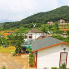 Отель Gapyeong Pine Pension, фото 1