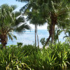 Отель Sinalei Reef Resort & Spa, фото 23