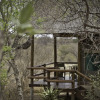 Отель Sausage Tree Safari Camp, фото 26