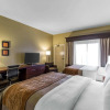 Отель Comfort Inn & Executive Suites Naples, фото 3