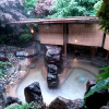 Отель Yugawara Spa Ryokan Ashikari, фото 6