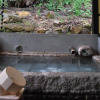 Отель Yamanoyado Reisen Kannojigoku Ryokan, фото 1