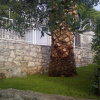 Отель Villa Sonia & Teo - Hvar, фото 42