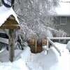 Отель Feathertop Alpine Lodge, фото 22