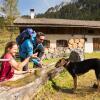 Отель Familienfreundliche Ferienwohnung im schönen Thierseetal, FeWo 16, фото 15