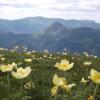 Отель VVF Le Lioran Les Monts du Cantal, Saint Jacques des Blats, фото 17