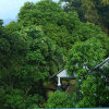 Отель Munnar Tea Hills Resort (MTHR), фото 7